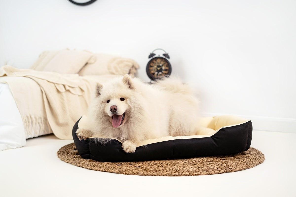 648dceef6da604042f683ee89348eefd