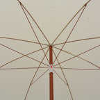 a1dc529d2fd2eb2186ae71a4bf16c5b1