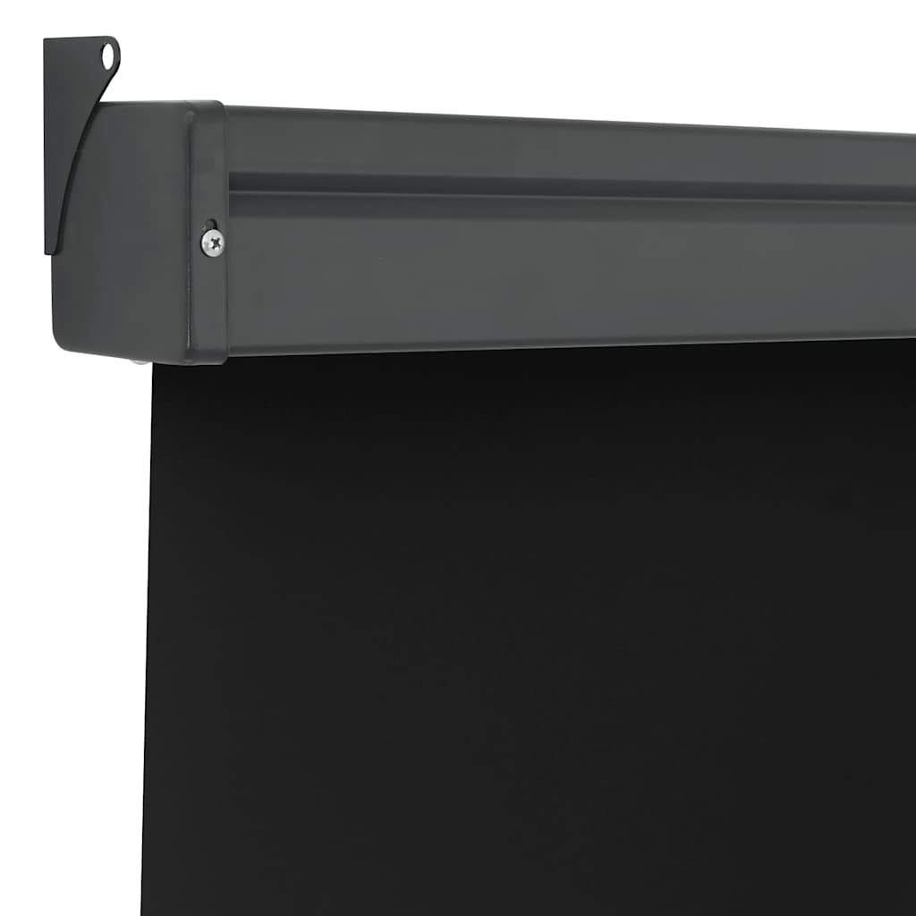 Balkon-Seitenmarkise 125x250 cm Schwarz