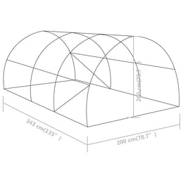 vidaXL Gewächshaus 6,86 m² 3,43x2x2 m