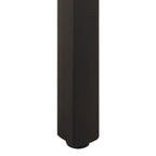 Esstisch 200x100x76 cm Raues Mangoholz
