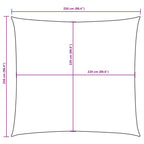 Sonnensegel Oxford-Gewebe Quadratisch 2,5x2,5 m Schwarz