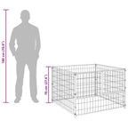 Hundezwinger Schwarz 100x100x70 cm Stahl