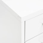 Aktenschrank mit Rollen Weiß 28x41x109 cm Metall