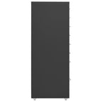 Aktenschrank mit Rollen Anthrazit 28x41x109 cm Metall