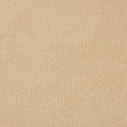 vidaXL Kindersofa 2-Sitzer Creme Weich Plüsch