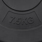 Hantelscheiben 6 Stk. 30 kg Zement