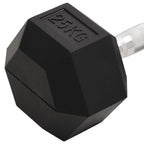 Kurzhantel 25 kg Gusseisen