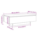 Couchtisch Weiß 100x49,5x31 cm Holzwerkstoff