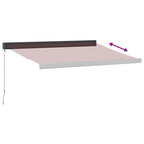 Markise Manuell Weinrot 350x250 cm