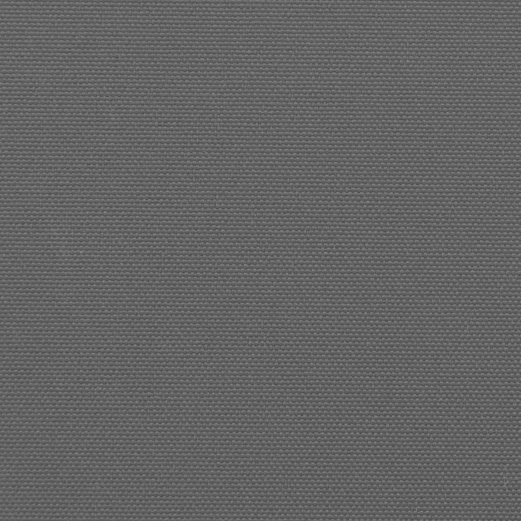 Ausziehbare Seitenmarkise Anthrazit 100x500 cm