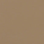 Seitenmarkise Ausziehbar Taupe 200x500 cm