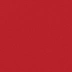 Seitenmarkise Ausziehbar Rot 200x600 cm