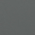 Seitenmarkise Ausziehbar Anthrazit 200x600 cm