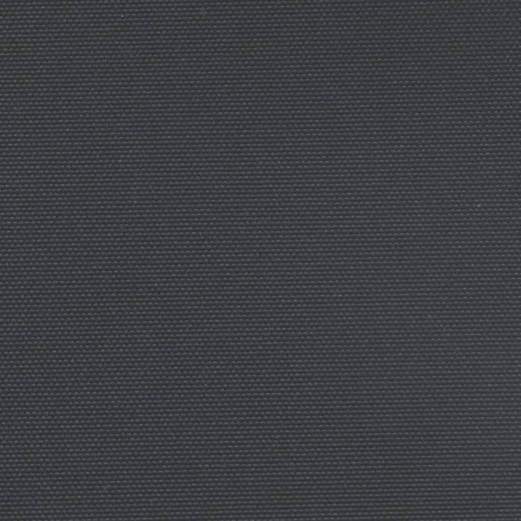 Seitenmarkise Ausziehbar Schwarz 160x1000 cm