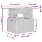 2-tlg. Garten-Sofagarnitur mit Kissen Grau Poly Rattan Glas