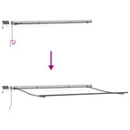 Markise Manuell mit LEDs Braun 400x300 cm