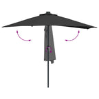 Garten-Sonnenschirm Schwarz 294 x 150 x 224 cm