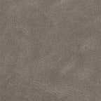 Esszimmerstühle mit Rollen 2 pcs Grau 57 x 67 x 95 cm
