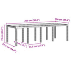 Gartentisch Braun 250 x 100 x 73 cm Poly-Rattan