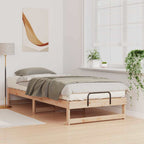 Bettrahmen Braun 90 x 220 cm Massives Kiefernholz
