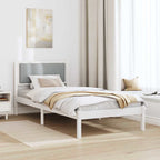 Bettrahmen Hellgrau 100 x 200 cm Massives Kiefernholz