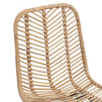 Esszimmerstuhl 2 pcs Rattan und Eisen Natur 44,5 x 54,5 x 85 cm