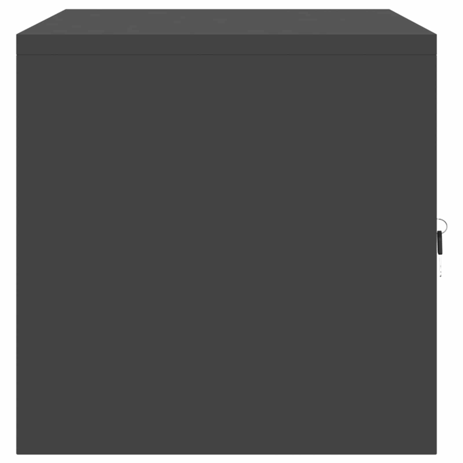 Aufbewahrungsschrank Schwarz 80 x 40 x 40 cm Stahl