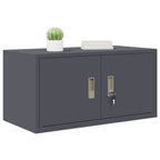 Aufbewahrungsschrank Anthrazit 80 x 40 x 40 cm Stahl