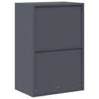 Aufbewahrungsschrank Anthrazit 60 x 40 x 90 cm Stahl