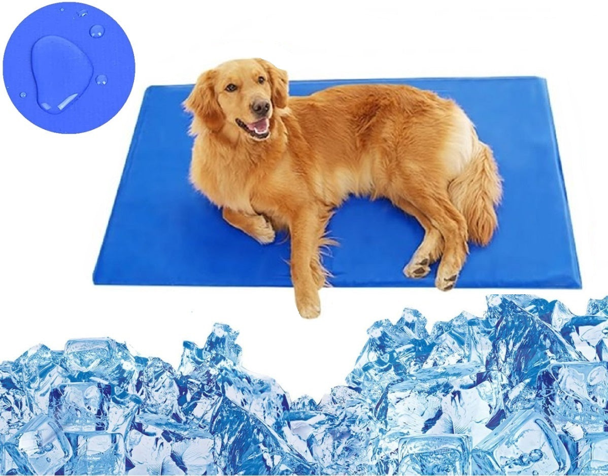 142783f5dca1e2ad9b7dd20bb8420e48