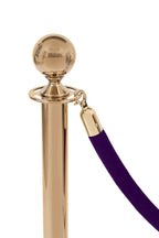 Violettes Velourseil – goldene Schnalle-0